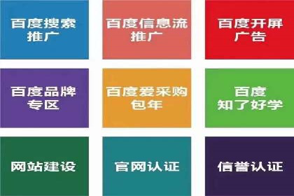 某品牌sem竞价托管代运营的精彩瞬间